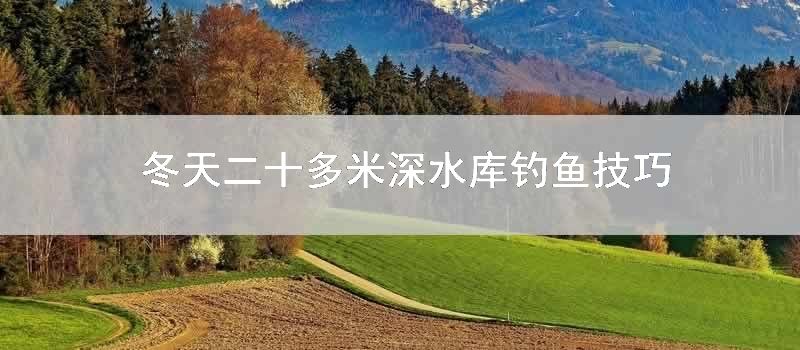 冬天二十多米深水库钓鱼技巧