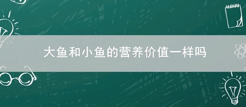 大鱼和小鱼的营养价值一样吗