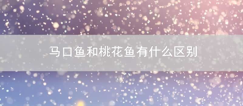 马口鱼和桃花鱼有什么区别