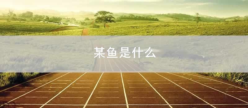 某鱼是什么