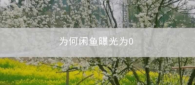 为何闲鱼曝光为0