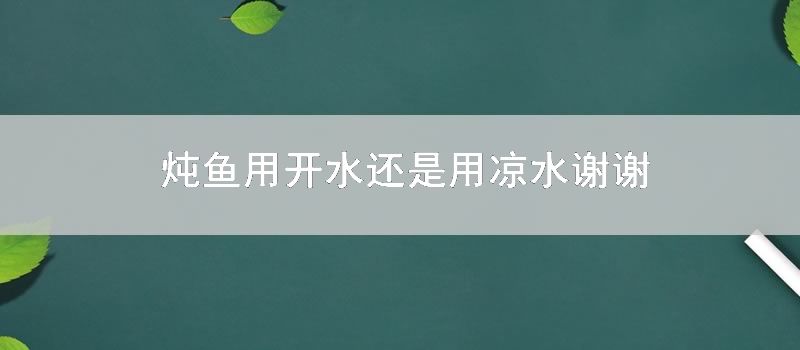 炖鱼用开水还是用凉水谢谢