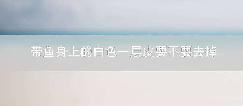 带鱼身上的白色一层皮要不要去掉