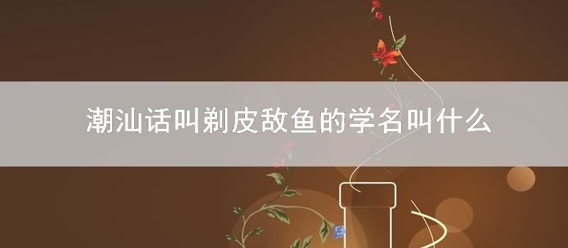 潮汕话叫剃皮敌鱼的学名叫什么