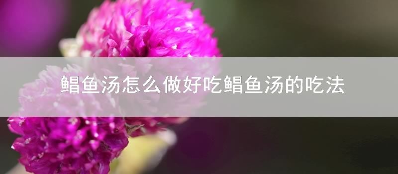 鲳鱼汤如何做好吃鲳鱼汤的吃法