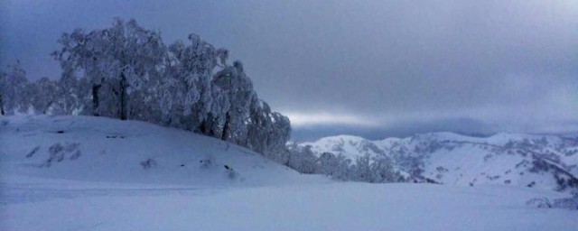 北国风光千里雪飘全诗 北国风光千里雪飘全诗是什么