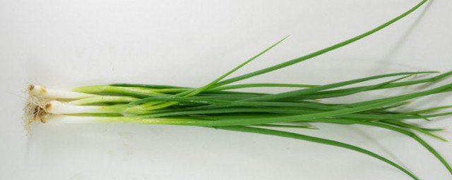 菜地里的小葱的种植技巧 菜地里的小葱的种植技巧是什么