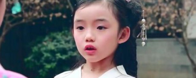 小戏骨演的影视剧简介 小戏骨演过什么电视剧
