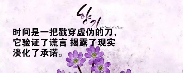 感叹人生句子 感叹人生的语录