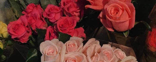 发朋友圈让人开心的幽默句子 幽默的朋友圈句子