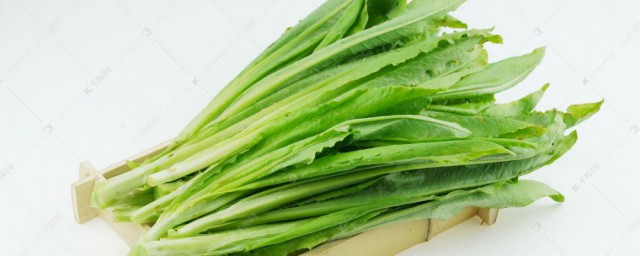 蒜蓉油麦菜的做法技巧 蒜蓉油麦菜怎样做