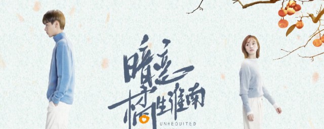 盛淮南和洛枳在一起了吗 电视橘生淮南暗恋简介
