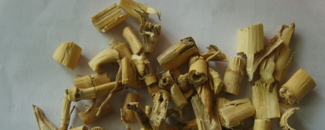 芦苇根的营养价值 芦苇根的介绍