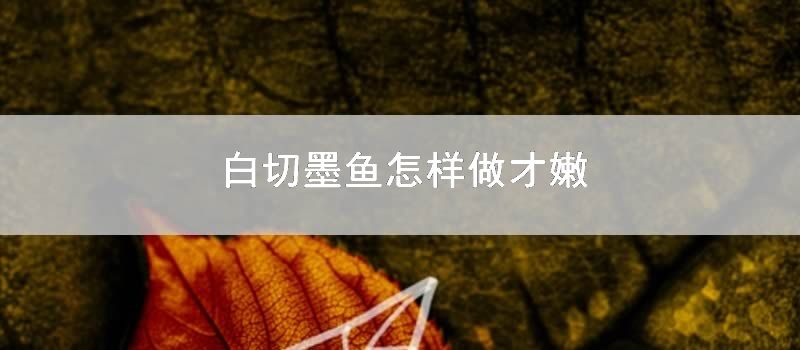 白切墨鱼怎样做才嫩