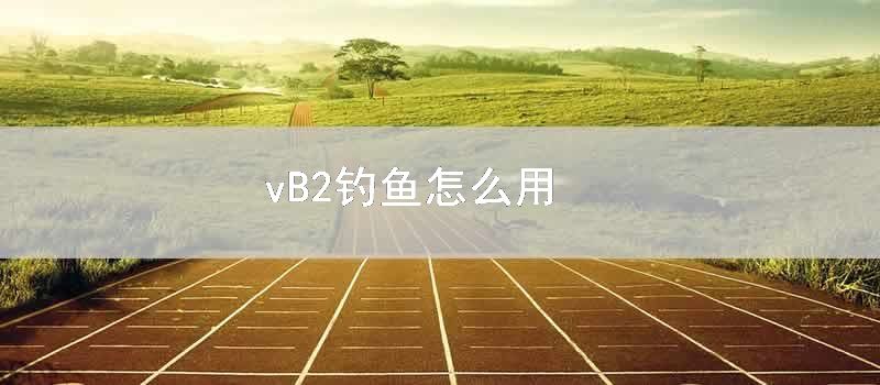 vB2钓鱼如何用