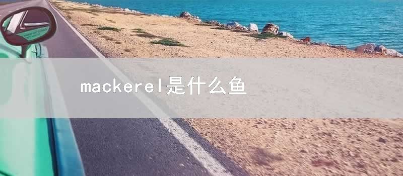 mackerel是什么鱼