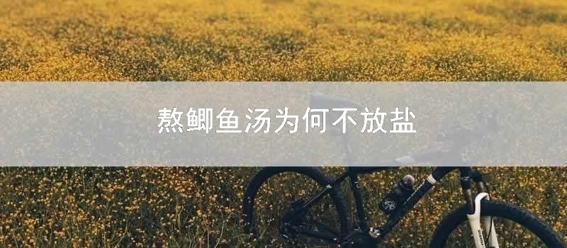 熬鲫鱼汤为何不放盐