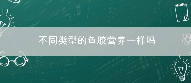 不同类型的鱼胶营养一样吗