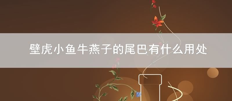 壁虎小鱼牛燕子的尾巴有什么用处