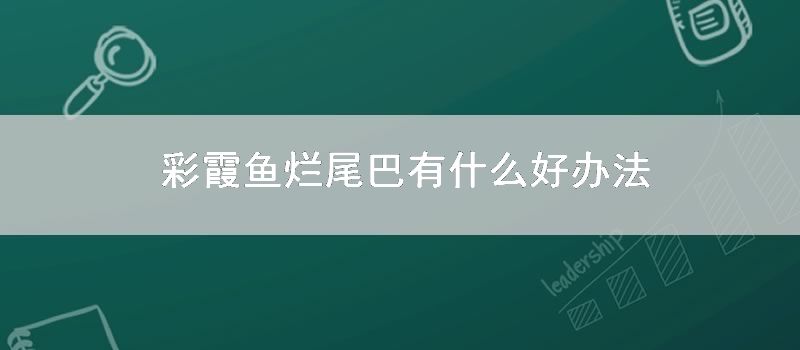 彩霞鱼烂尾巴有什么好办法