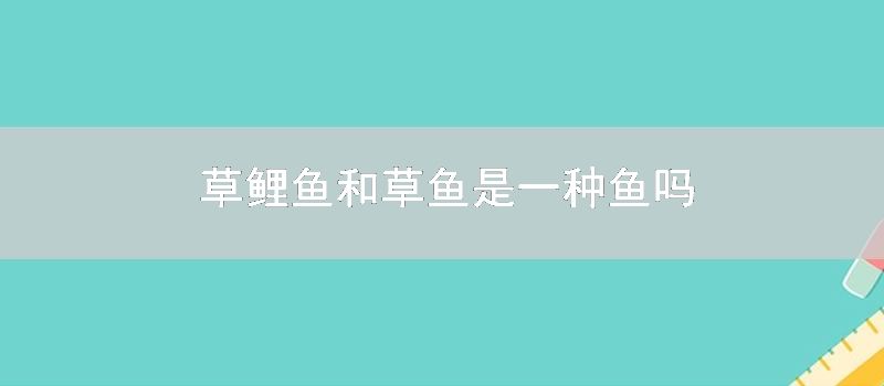 草鲤鱼和草鱼是一种鱼吗
