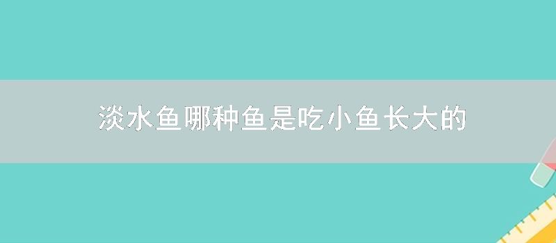 淡水鱼哪种鱼是吃小鱼长大的
