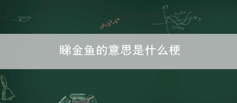 睇金鱼的意思是什么梗