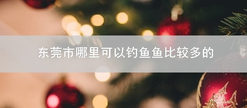 东莞市哪里可以钓鱼鱼比较多的