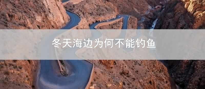 冬天海边为何不能钓鱼