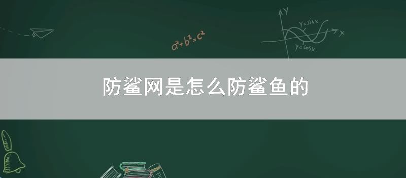 防鲨网是怎么防鲨鱼的