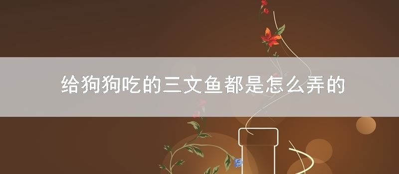 给狗狗吃的三文鱼都是怎么弄的