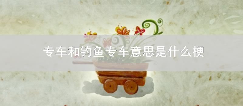 专车和钓鱼专车意思是什么梗