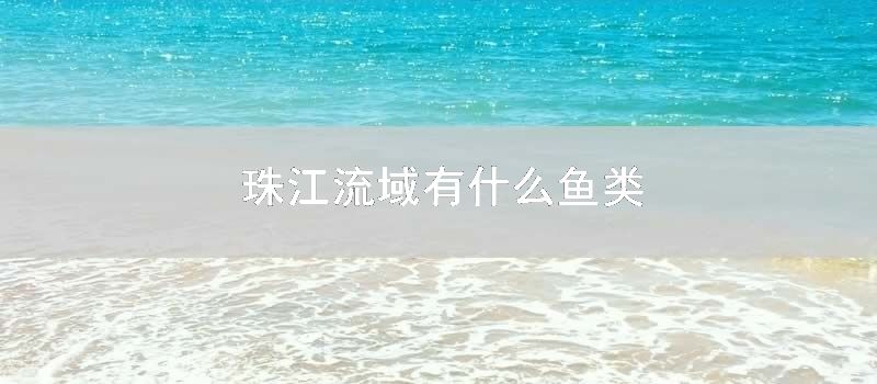 珠江流域有什么鱼类