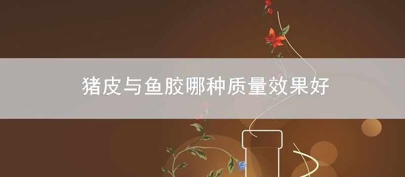 猪皮与鱼胶哪种质量效果好