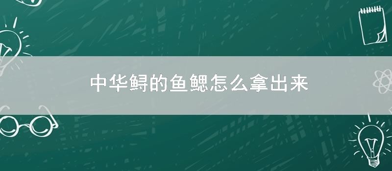 中华鲟的鱼鳃如何拿出来