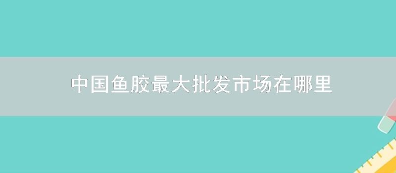 中国鱼胶最大批发市场在哪里