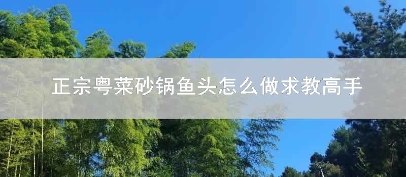 正宗粤菜砂锅鱼头怎样做求教高手