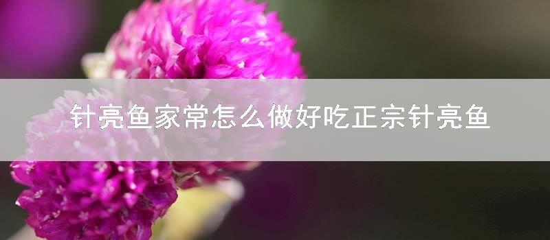 针亮鱼家常怎么做好吃正宗针亮鱼怎么做