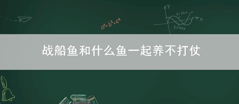 战船鱼和什么鱼一起养不打仗