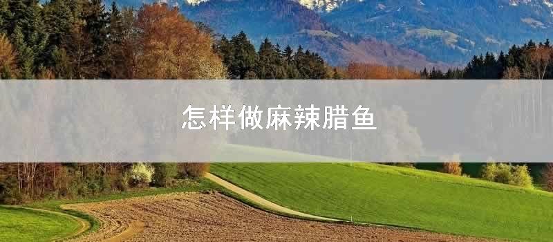 怎样做麻辣腊鱼