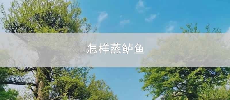 如何蒸鲈鱼