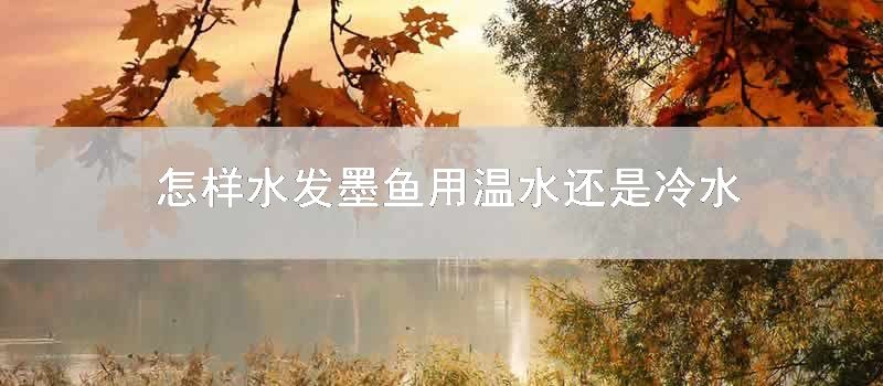 如何水发墨鱼用温水还是冷水