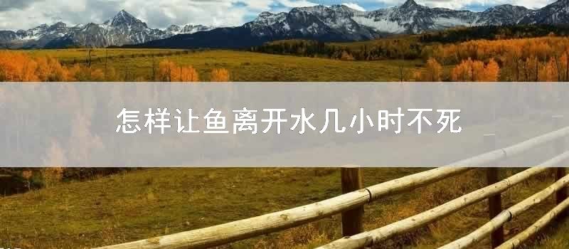 怎么让鱼离开水几小时不死