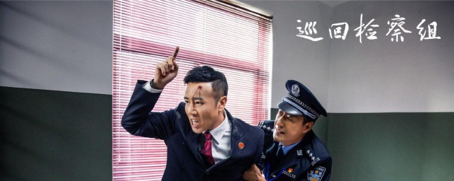 巡回检查组多少集 巡回检查组讲述什么故事