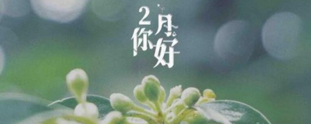 朋友圈一月再见二月你好说说大全 关于朋友圈一月再见二月你好说说
