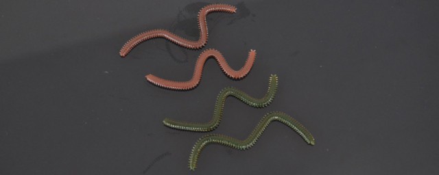 沙蚕怎样保存 沙蚕保存技巧简介