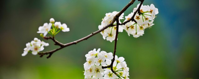立春节气微信说说 有关立春的说说精选