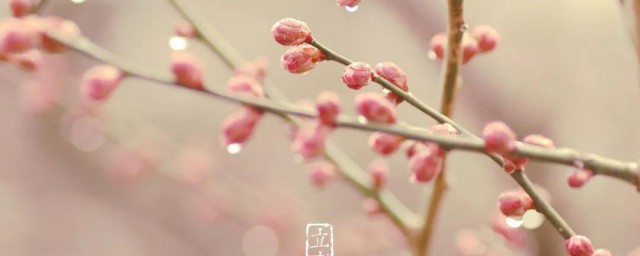 立春有什么风俗忌讳呢 立春的风俗忌讳