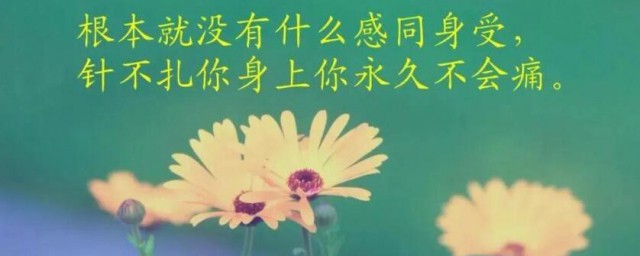 感同身受的心酸句子 形容感同身受的心酸句子