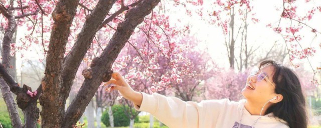 送你四月的祝福 关于四月祝福的句子
